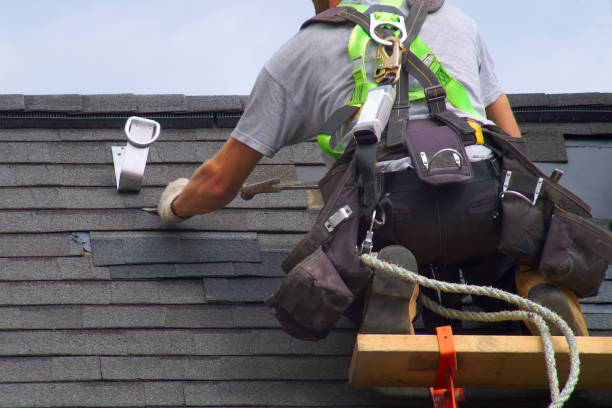 Best Roof Gutter Cleaning  in Oberlin, OH