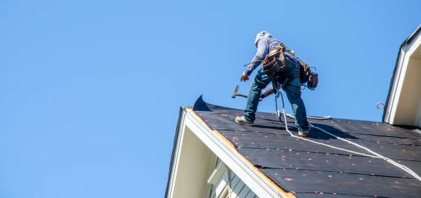 Roof Gutter Cleaning in Oberlin, OH